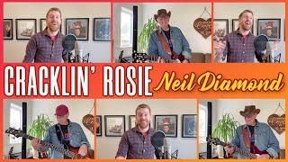 Cracklin' Rosie - Neil Diamond (cover)