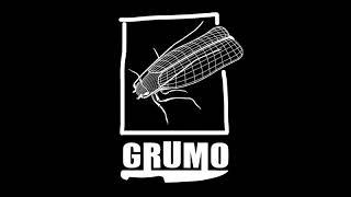 GRUMO Demenciales (Eskorbuto)