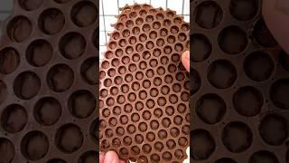 Making bubble wrap chocolate