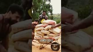 보디빌더들이 도전했다가 무너진 이유