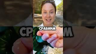 Последствия от подделки/ Атоми поддельная косметика/ Юлия Сокол