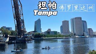 【坦帕】美國佛州第三大城市 ！Tampa ，Florida  安靜干凈的小城市，你喜歡嗎？