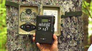How To Set Up and Use A Trail Camera