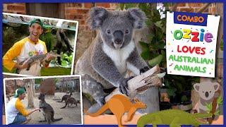 Unique Australian Animals For Kids | Educational Video With Ozzie