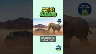 자연관찰 나는 누구일까요?ㅣExploring Nature Who am I? ㅣ코끼리ㅣElephant