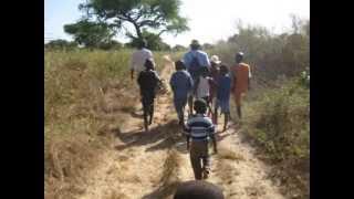 Jinack, Our journey to The Gambia and Jinack Island 08