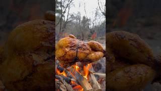 Roasted Whole Chicken in Nature 