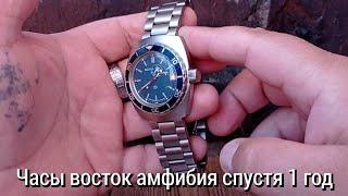 часы восток амфибия один год в эксплуатации, моё мнение!!!⌚️