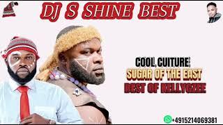 COOL CULTURE (SUGAR OF THE EAST) BEST OF KELLYGZEE BY DJ S SHINE BEST