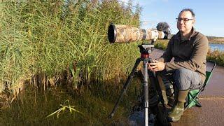 A Relaxing Morning by the Water: Bird Photography in the Field (Canon R6 & EF 500mm F/4 Lens)