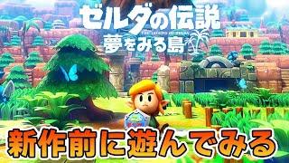 ゼルダの伝説の名作『夢をみる島』で初見完全クリアを目指してみる！【ぽんすけ】