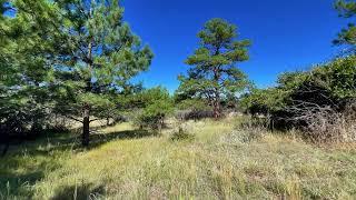 East Grant Road | Colorado Land For Sale | RE/MAX Alliance