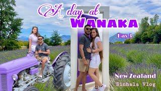 A day at WANAKA - Our Top Things To Do! | New Zealand | Day 03 | Life With KC