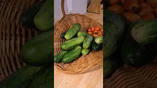 Where was the food?-Joel Salatin #shorts #homestead