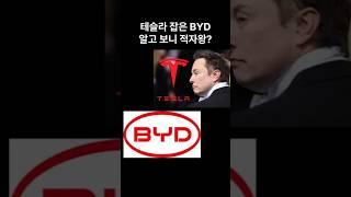 “테슬라 잡은 BYD, 알고 보니 적자왕?”