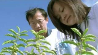 Research into Chinese Medicine | RMIT University