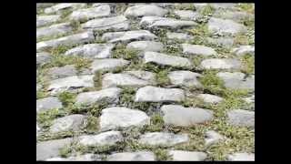 Paris - Roubaix 2014. Abridge by Ricardo Arenas 2/2.