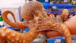 Korean Street Food GIANT OCTOPUS Seoul Seafood