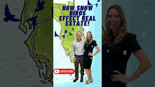 How Snowbirds Affect the Real Estate Market in SWFL #realestate #swflrealestate  #realestatemarket