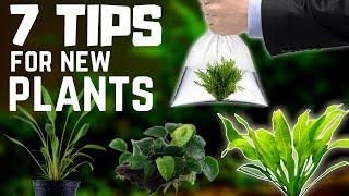 7 Tips for Buying New Aquarium Plants