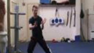 Speedy Tai Chi - Master Marko Vesse