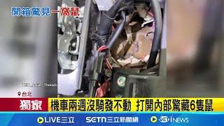 機車兩週沒騎發不動! 打開內部驚藏6隻鼠湯汁滴踏墊引鼠輩 機車內部平台成鼠窩│記者 林芹瑜 黃政杰│新聞一把抓20250618│三立新聞台