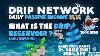 DRIP NETWORKWHAT IS THE RESERVOIR? LIQUIDITY PROVIDING? EASILY EXPLAINED!