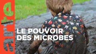 Vive les microbes ! | ARTE