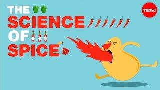 The science of spiciness - Rose Eveleth