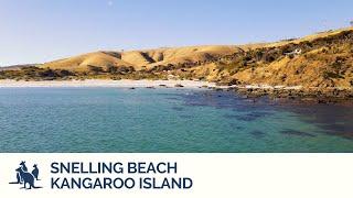 Snelling Beach, Kangaroo Island | Exceptional Kangaroo Island