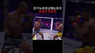 헤난 페레이라 박살내는 은가누...