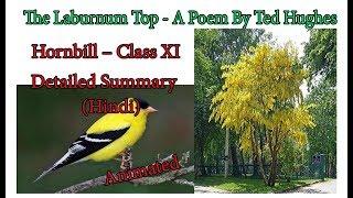 The Laburnum Top by Ted Hughes | Detailed Hindi Summary  | E-learning Guruji