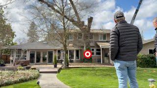 What a $12,000 Tree Removal Might Look Like