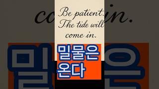 반드시 밀물은 온다