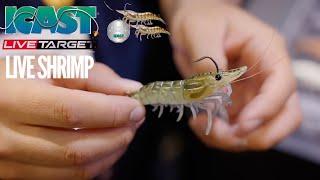 Live Target Live Shrimp product showcase ICAST 2022