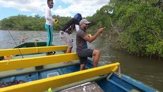 Freshwater fishing for Tarpon, Snook and Snapper with Captain Ravi, Trinidad, Caribbean.