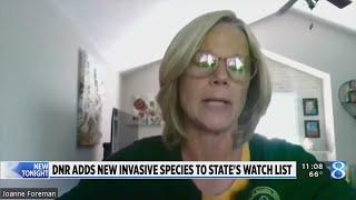 DNR warns of two new invasive species threatening Michigan