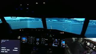 Solo flight from LFPO (Orly) to LFMN (Nice) in B737-800 homecockpit (P3D V4 PROSIM)