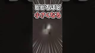 【ゲーム 雑学】スマブラDXでヨッシーを小さくする裏ワザ【任天堂 ニンテンドー スマッシュブラザーズ SP レトロ スーパーマリオブラザーズ ワンダー 星のカービィ ヨッシー ポケモン 面白動画】