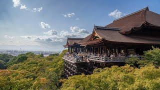 [4K/HDR] Sony a6700 HLG | Trip to Tokyo and Kyoto, Japan 2023