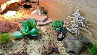 LEOPARD GECKO UPGRADED ENCLOSURE