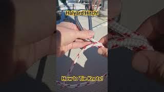 How to tie a Halyard Hitch! #sailing #knottying #knots #boats #halyardhitch #howtotieknots