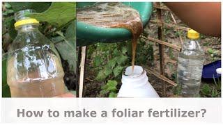 How to make a foliar fertilizer? | Let's go organic! | The Millennial Farmer PH