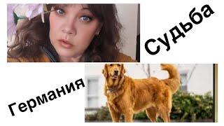 Что будет дальше? Как поступить? И много другого. Жизнь в Германии.
