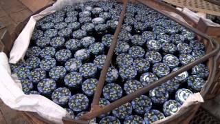Алексей Кожевников на Вологодском комбинате пищевых продуктов леса