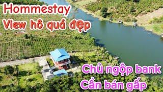 CHỦ NGỘP BANK cần bán gấp căn  hommestay vùng ven bảo Lộc DT1900m PL SHR QH đất tc