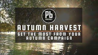 AUTUMN CARP FISHING ~ Tips and Tactics for Catching Carp in Autumn.