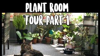 Plant Room Tour| July | Part 1| House Plants | The Thrifted Planter