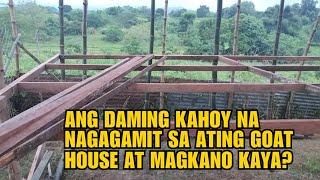 ANG DAMING KAHOY NA MAGAGAMIT SA ATING GOAT HOUSE AT MAGKANO KAYA?