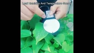 Plant temperature and humidity monitoring，Leaf Humidity And Temperature Sensor